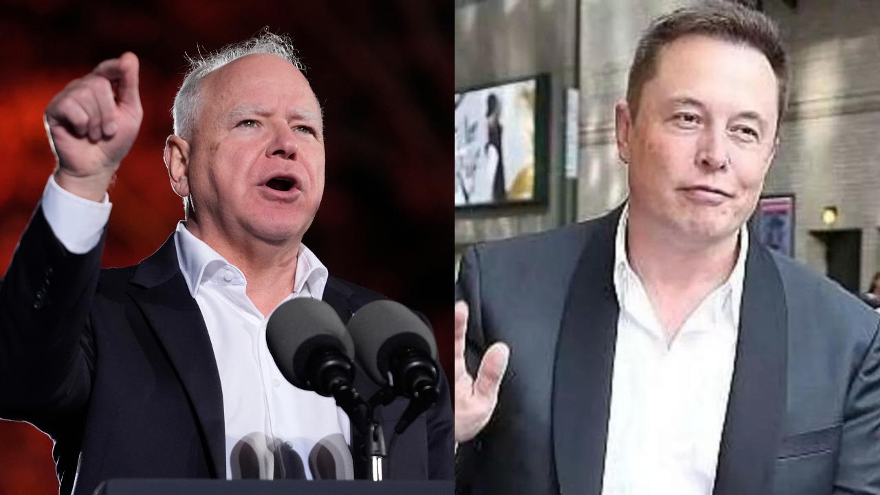 tim walz calls elon musk 'gay guy', donald trump supporter responds | watch