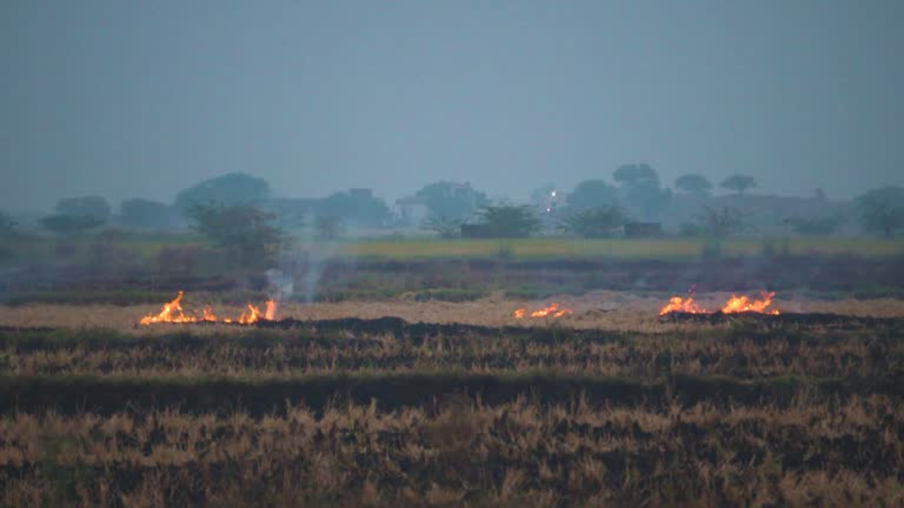 delhi air pollution stubble burning share rose by 30 pc in 10 days 7518 farm fires in just one day