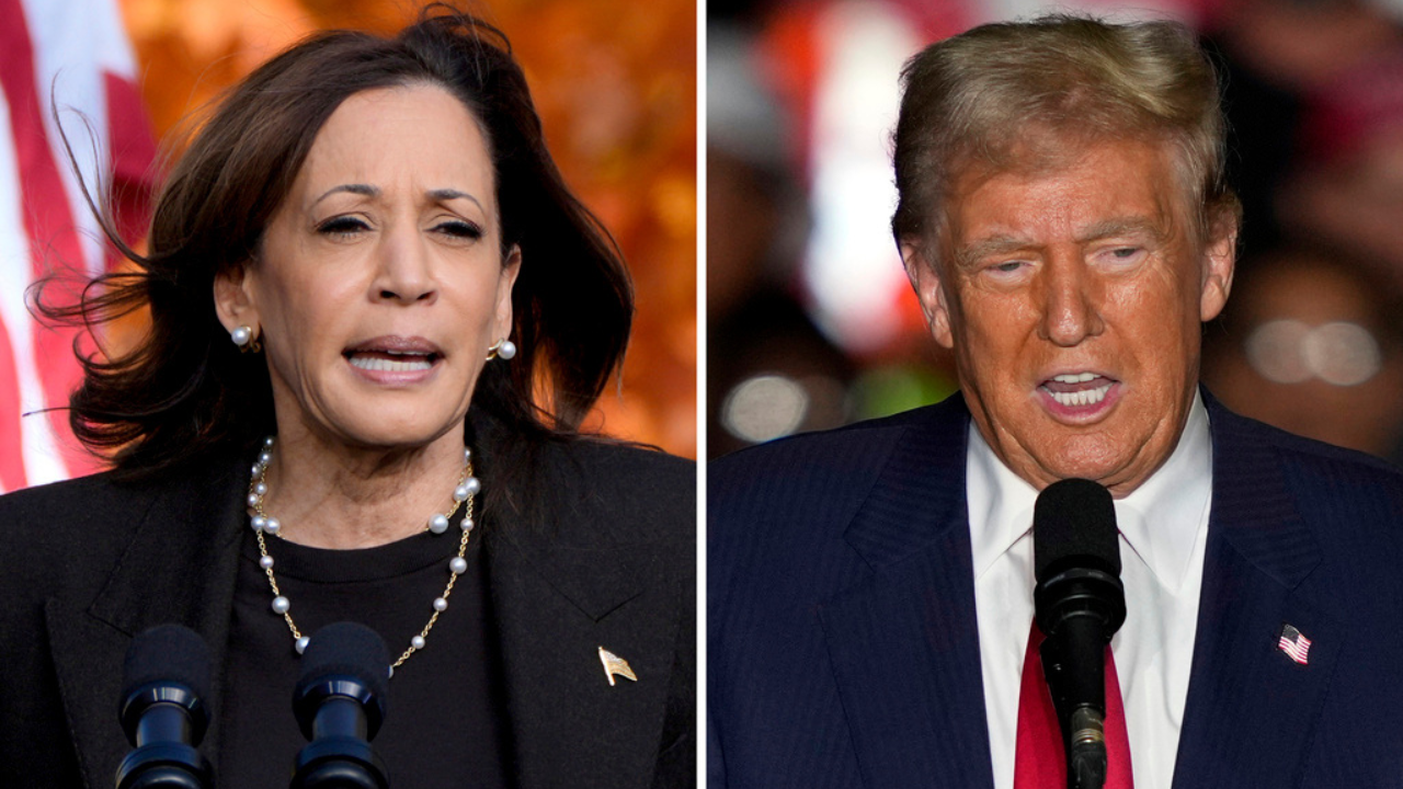 us election poll of polls: donald trump vs kamala harris - who leads in swing states