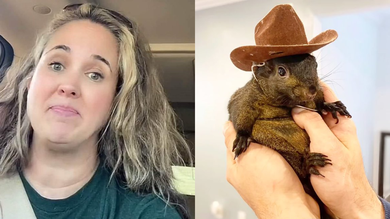 texas woman monica keasler reported peanut the squirrel to dec? claims surface