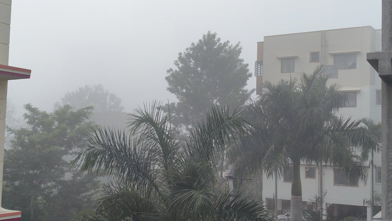 bangalorea weather bengaluru sees foggy morning after receiving rain till late night; what imd predicts for the day