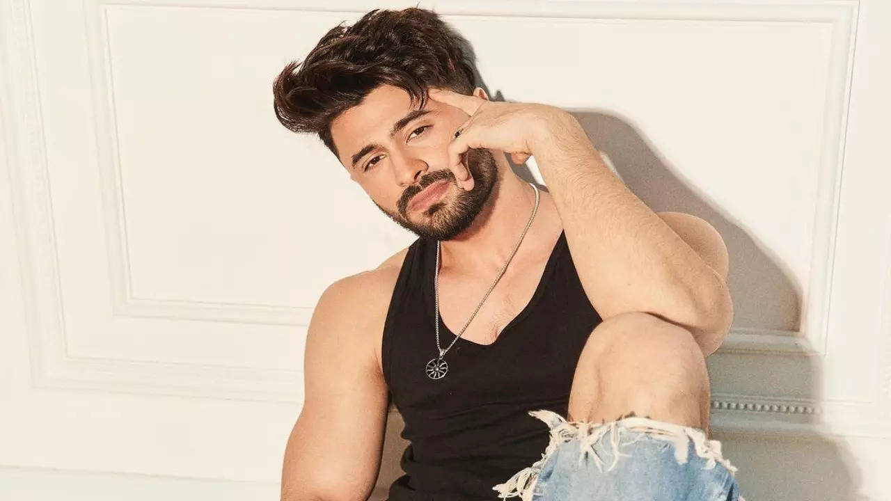 ieshaan sehgaal doesnt want to be part of reality shows after bigg boss 15 find out why