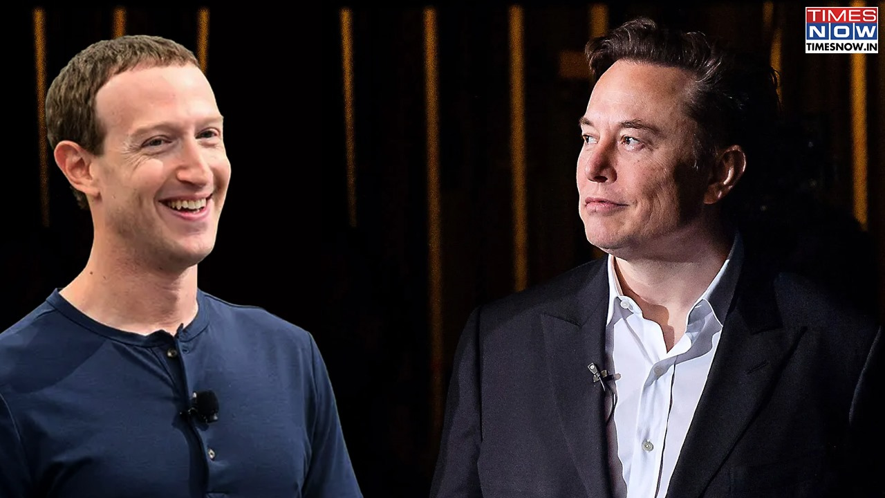 after mike tyson vs jake paul, when is elon musk vs mark zuckerberg? tesla ceo answers