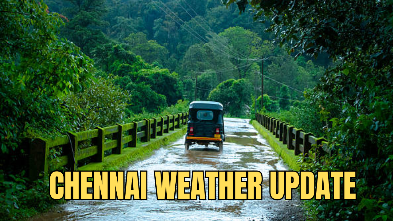 chennai rains: northeast monsoon set to bring heavy rain in these tamil nadu districts, is chennai on list?