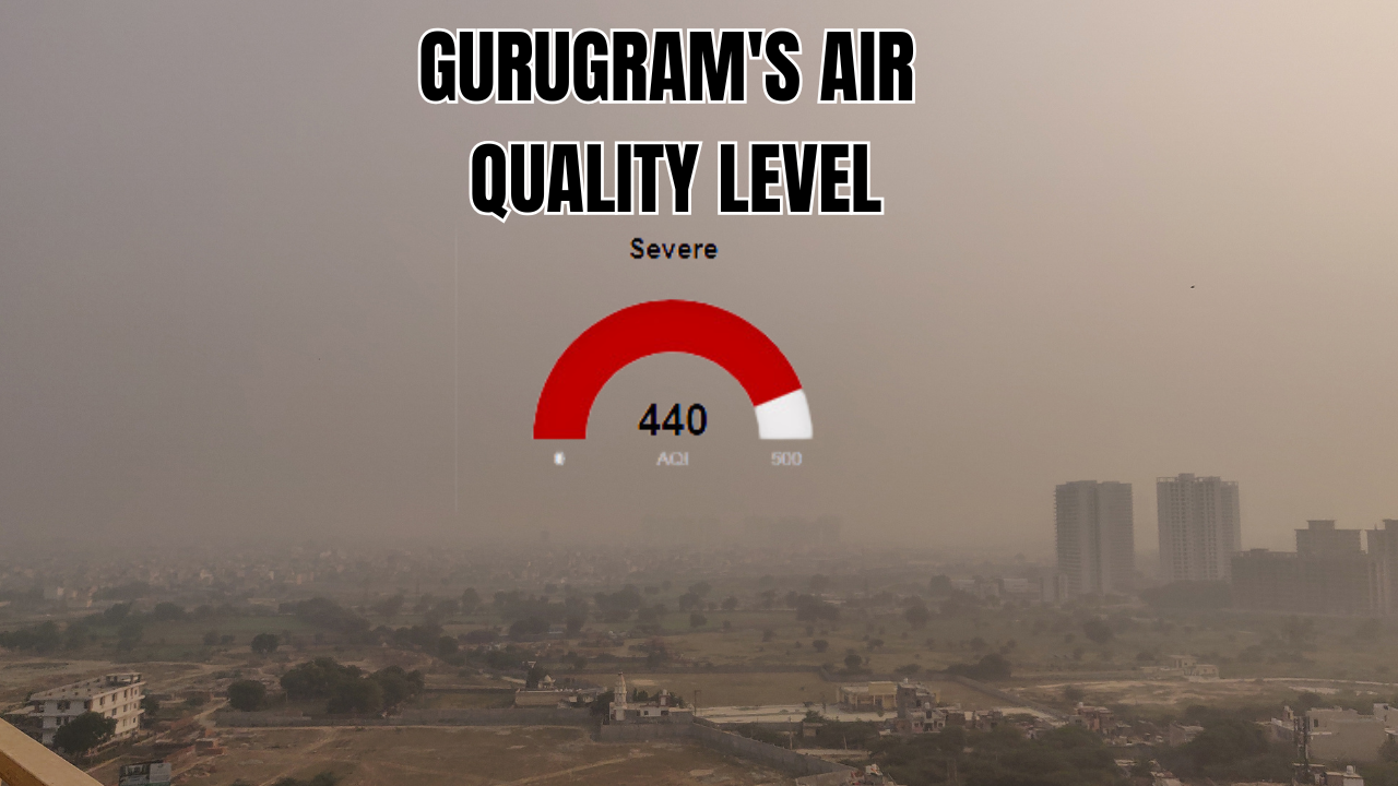 gurugram gasps in 'severe' air quality: city starts the day with dense fog amid grap-4 curbs