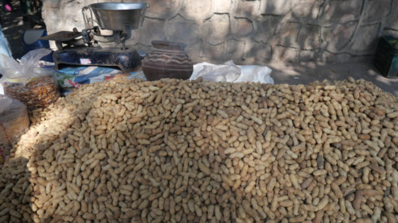 bengaluru popular groundnut fair kadlekai parishe basavangudi begins what is it all about