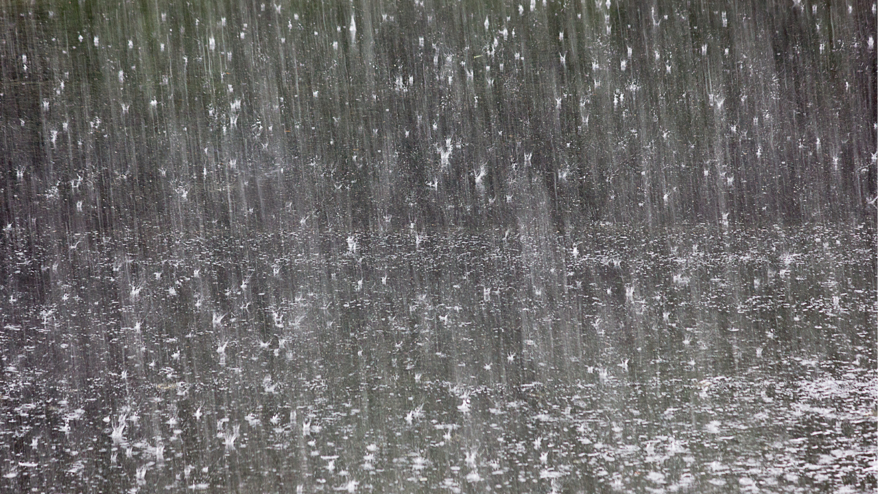 chennai weather tomorrow live updates chennai weather imd forecast in tamil nadu across districts