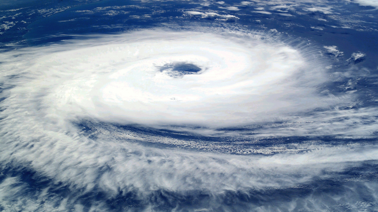 cyclone fengal schools and colleges closed in chennai and other districts work from home for it companies temporary suspension of public transport