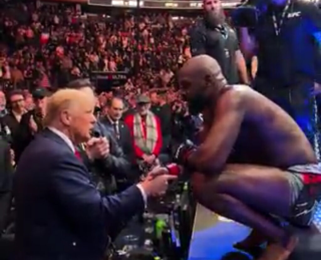 trump ufc