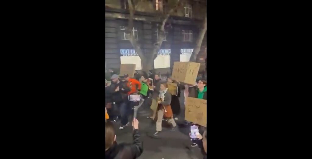 Thunberg stages pro-democracy rally in Georgia