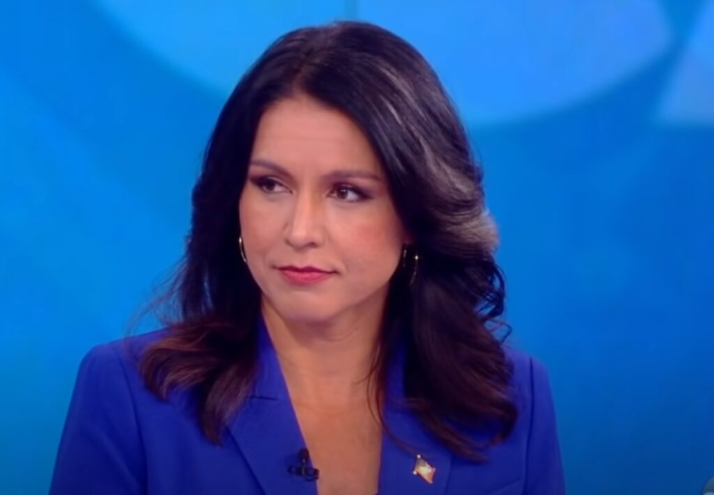 Tulsi Gabbard elitist cabal of war mongers