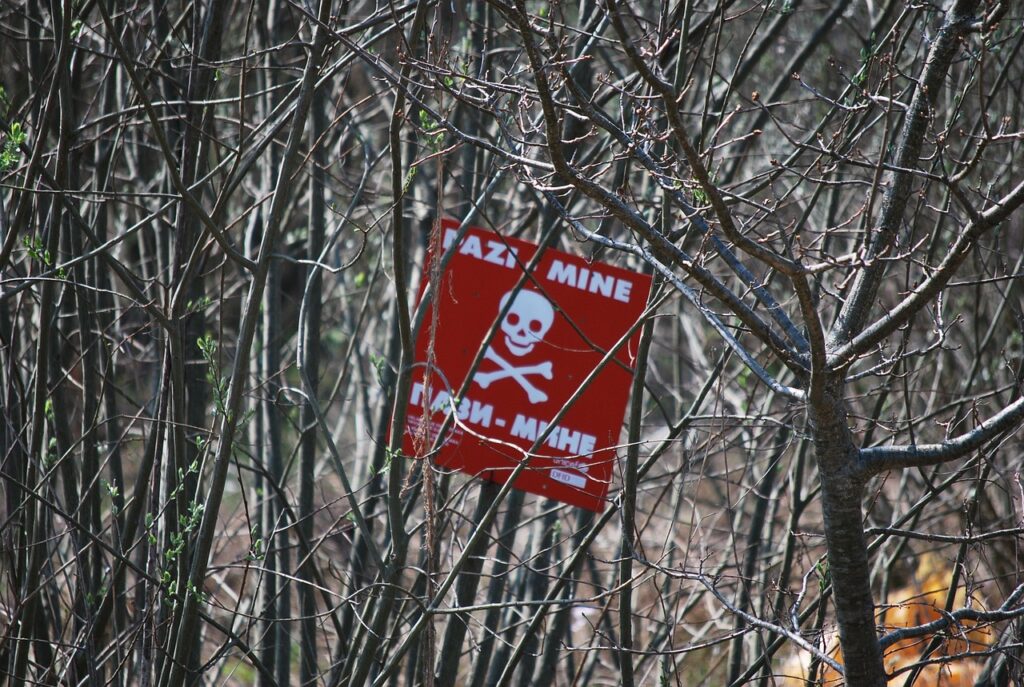 Global anti-landmine group slams 'terrible' US decision to give antipersonnel mines to Ukraine