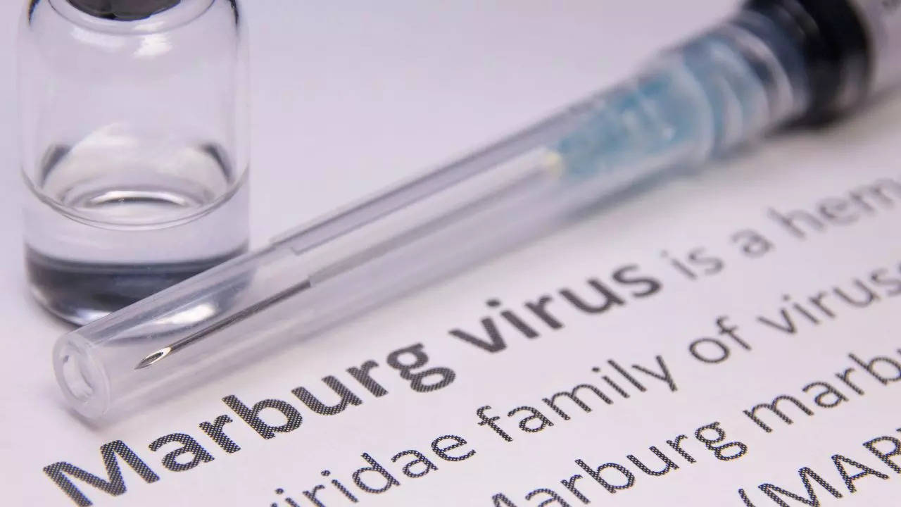 CDC To Screen Rwanda Travellers For Marburg Virus; Know The Signs And Symptoms That Tell One May Have Caught The Virus