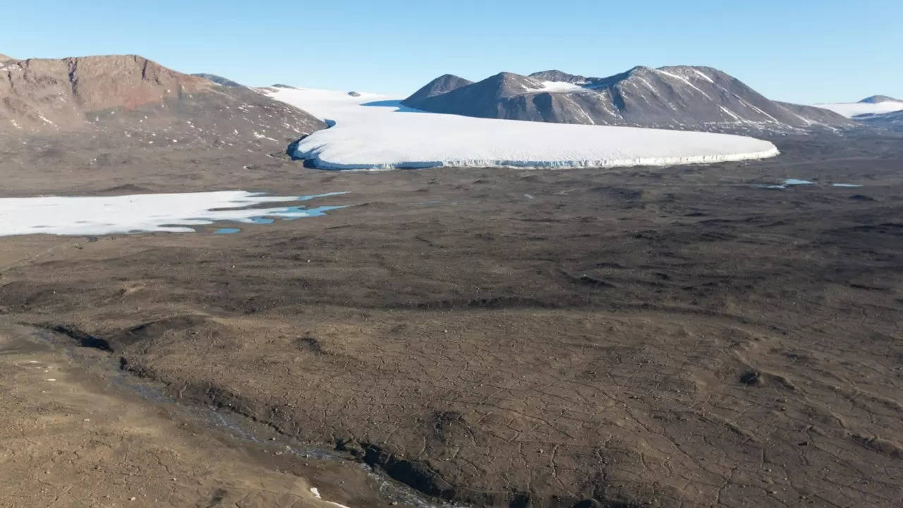 google googly: which is the world’s largest desert? hint: not the sahara