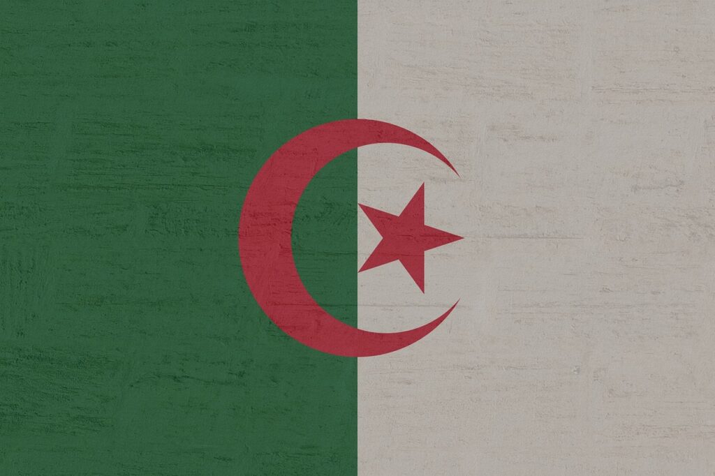 Algeria has turned back 20,000 migrants to Niger this year: NGO